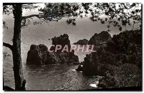 Cartes postales moderne La Cote d&#39Azur La Mediterranee et ses roches rouges