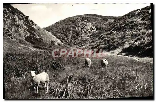 Cartes postales moderne Carolles Edenville La Valle du Lude