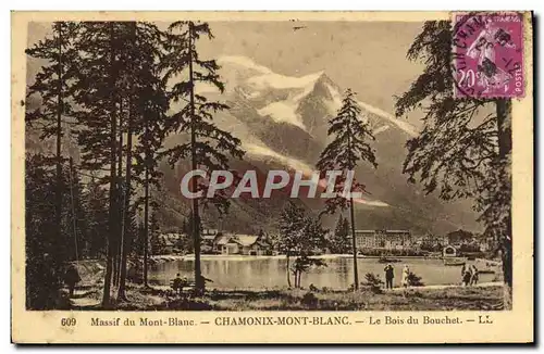 Ansichtskarte AK Massif du Mont Blanc Chamonix Mont Blanc Le Bois du Bouchet