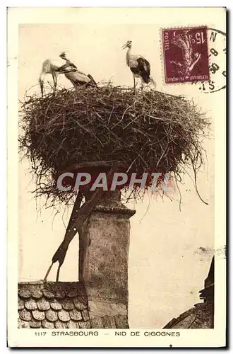 Cartes postales Strasbourg Nid De Cigognes