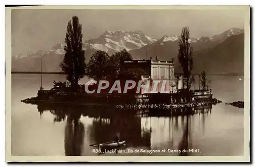 Ansichtskarte AK Lac Leman Ile De Salagnon Et Dents Du Midi