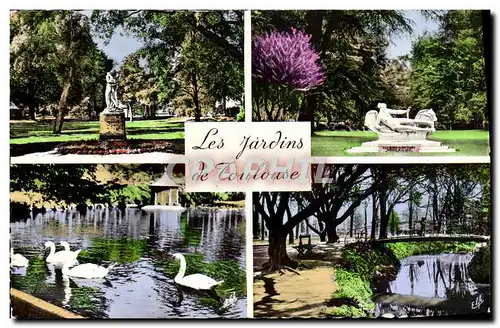 Cartes postales moderne Les Jardins de Toulouse Cygne