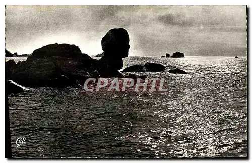 Cartes postales moderne Roscoff Rochers Bizarres de Per Haridy Rocher de la sirene a maree haute