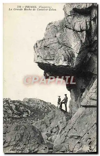 Ansichtskarte AK Primel La Grande Roche De Castel ar Zalou