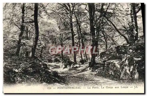 Ansichtskarte AK Fontainebleau La Foret La Gorge aux loups