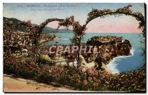 Cartes postales Monaco Vue Prise Entre Les Fleurs