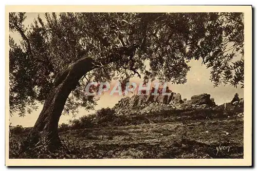 Ansichtskarte AK Les Baux Les ruines du chateau vues a travers les oliviers