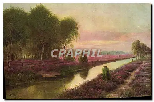 Cartes postales Aus Der Luneburger Heide