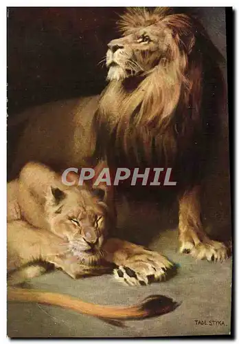 Cartes postales Lion Styka