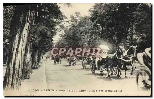 Ansichtskarte AK Paris Bois de Boulogne Allee des Acaias