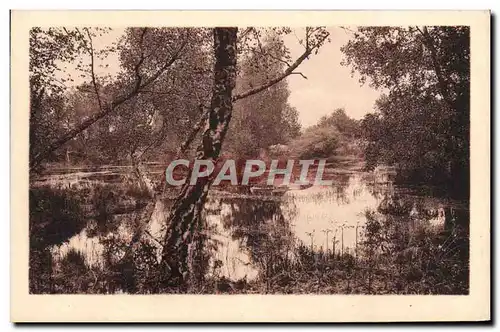 Ansichtskarte AK Foret de Fontainebleau La mare de Franchard