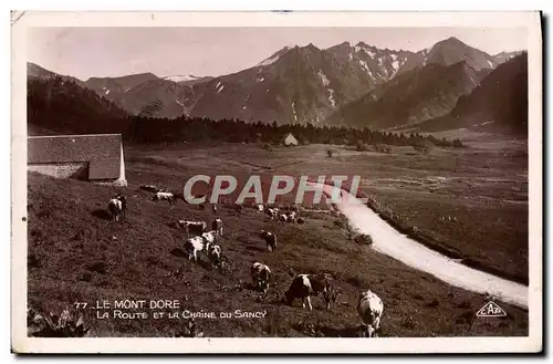 Cartes postales Le Mont Dore La Route Et La Chaine Du Sancy Vaches