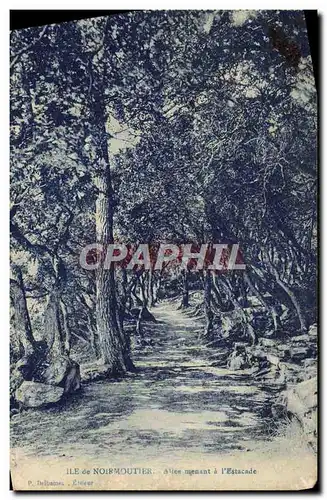 Cartes postales Ile de Noirmoutier Allee menant a l'estacade