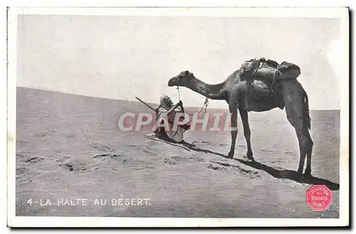 Ansichtskarte AK La Halte au Desert Chameau