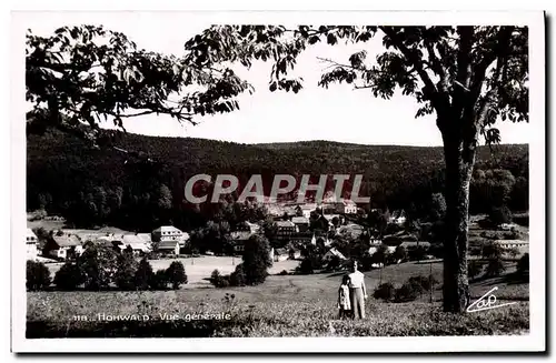 Cartes postales moderne Hohwald Vue Generale