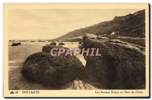 Cartes postales Houlgate Les Roches Noires Au Saut Du Chien