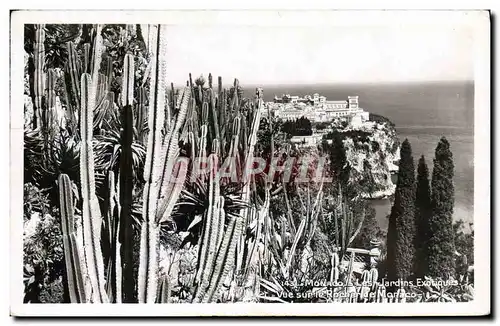 Cartes postales Monaco Les Jardins Exotiques Vue sur le rocher