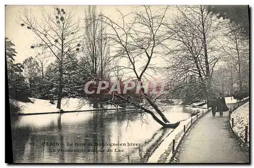 Cartes postales Paris Bois de Boulogne en Hiver La promenade autour du lac