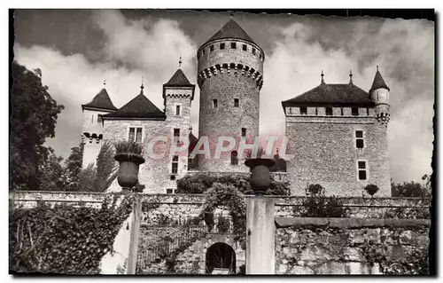 Cartes postales moderne Environs D&#39Annecy Gorges Du Fier Le Chateau de Montrottier