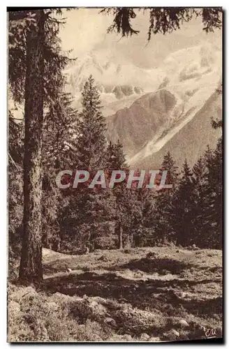 Cartes postales Alpes Francaises Vallee de Chamonix Clairiere