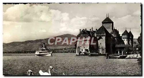 Cartes postales moderne Annecy Bateau Cygnes