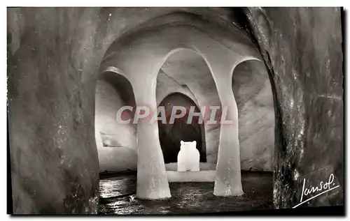 Cartes postales moderne Chamonix Le Montenvers Ait La Grotte De La Mer De Glace L&#39ours gardin de la grotte