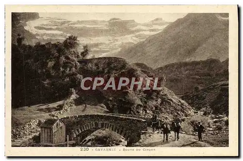 Cartes postales Gavarnie Route Du Cirque Ane Mule