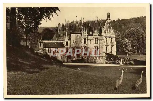 Cartes postales Parc Zoologique De Cleres Facade Nord du chateau et Grues mexicaines Zoo