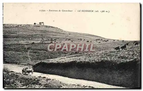 Cartes postales Environs de Gerardmer Le Hohneck