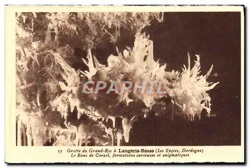 Cartes postales Laugerie Basse Grotte du Grand Roc Les Eyzies La banc de corail Prehistoire