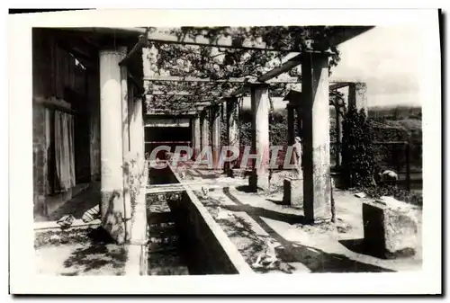 Cartes postales moderne Pompei Casa di Loreio Tiburtino