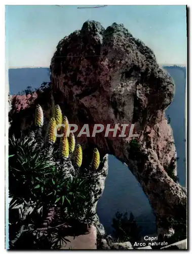 Cartes postales moderne Capri Arc Naturel