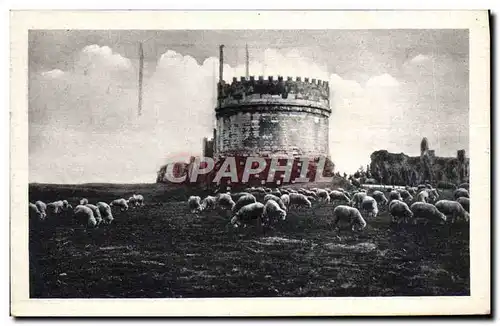 Cartes postales Roma Tomban di Cecilia Matella in Via appia Moutons