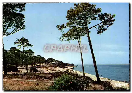 Cartes postales moderne Bassin D'Archachon Les Abatilles