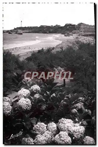 Cartes postales moderne Biarritz Les Hortensias et vue sur le Phare