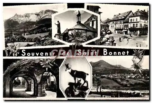 Cartes postales moderne Souvenir de Saint Bonnet Chamois