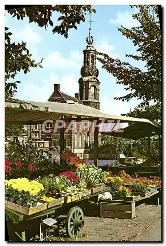 Cartes postales moderne Amsterdam Holland