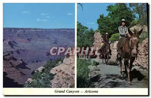 Moderne Karte Grand Canyon Arizona Cheval