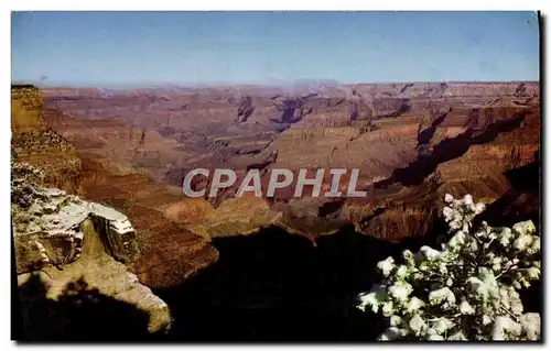 Cartes postales moderne Grand Canyon National park Arizona