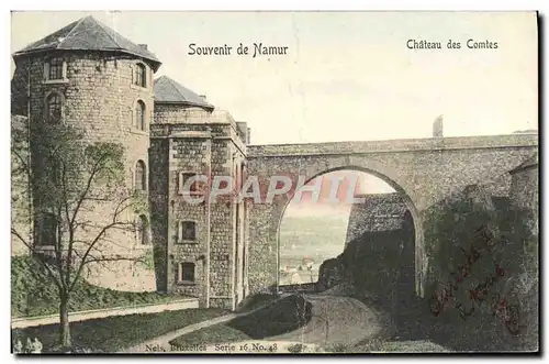 Cartes postales Souvenir de Namur Chateau des Comtes