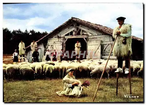 Moderne Karte Visage Des Landes Scene pastorale avec Lous Becuts de Countis Folklore Moutons