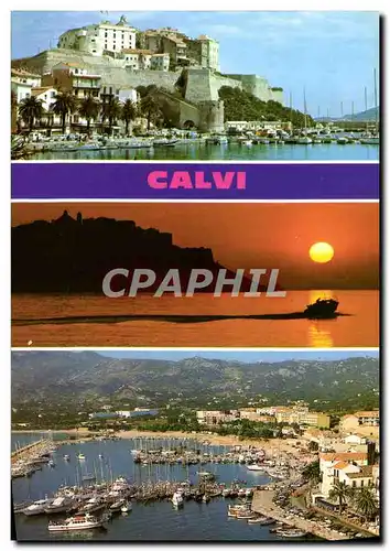 Cartes postales moderne Calvi La Citadelle Coucher de Soleil Le Port