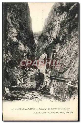 Cartes postales Amelie les Bains Interieur des Gorges du Mondony