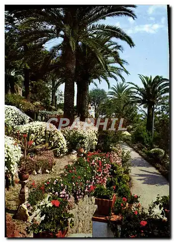 Cartes postales moderne Theoule Villa St Camille et ses jardins fleuris