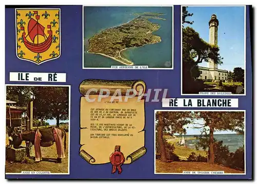 Cartes postales moderne Ile de Re Anes en culotte Anse de Trousse Chemise Phare des baleines