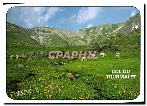 Cartes postales moderne Col Du Tourmalet La montee dans les paturages depuis Bareges