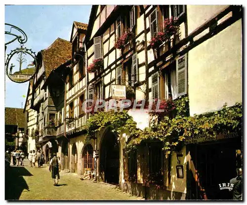 Cartes postales moderne Riquewihr Cite medievale