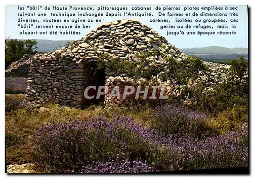 Cartes postales moderne Les Bori De Haute Provence Cabane de pierre