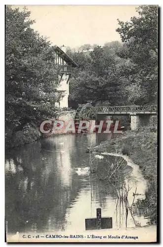 Cartes postales Cambo Les Bains L&#39Etang Et Moulin D&#39Arnaga