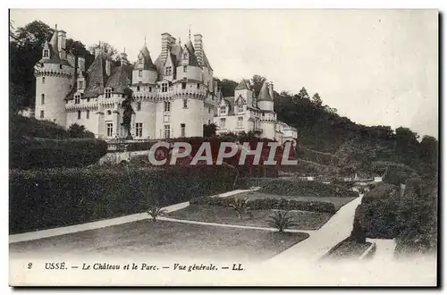 Ansichtskarte AK Usse Le Chateau et le parc Vue generale